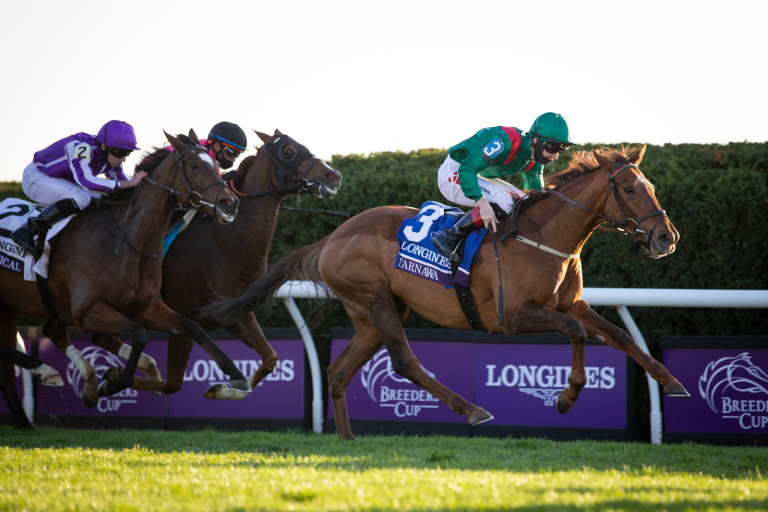 Breeders' Cup Sprint Tips and Trends